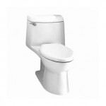 American Standard Champion 4 Elongate One-piece" toilet installed by Houston plumber, Texas Master Plumber